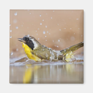 カオグロアメリカムシクイギフト ギフトアイデア Zazzle Co Jp