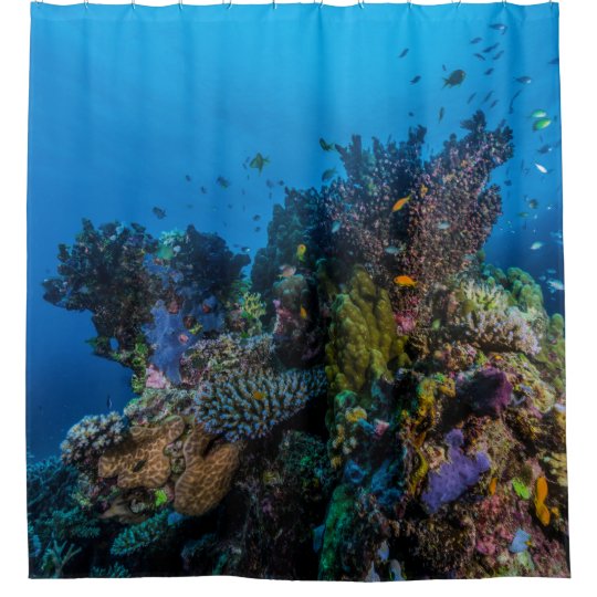 熱帯魚のグレート バリア リーフの珊瑚海のギフト シャワーカーテン Zazzle Co Jp 熱帯魚のグレート バリア リーフの珊瑚海のギフト シャワーカーテン Zazzle Co Jp