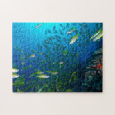 熱帯魚のグレート・バリア・リーフの珊瑚海 ジグソーパズル | Zazzle.co.jp