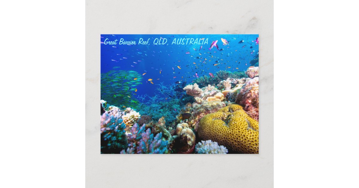 熱帯魚のグレート バリア リーフの珊瑚海 ポストカード Zazzle Co Jp
