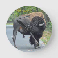 牛おもしろいバイソンが彼の睾丸をなめる ラウンド壁時計 | Zazzle.co.jp