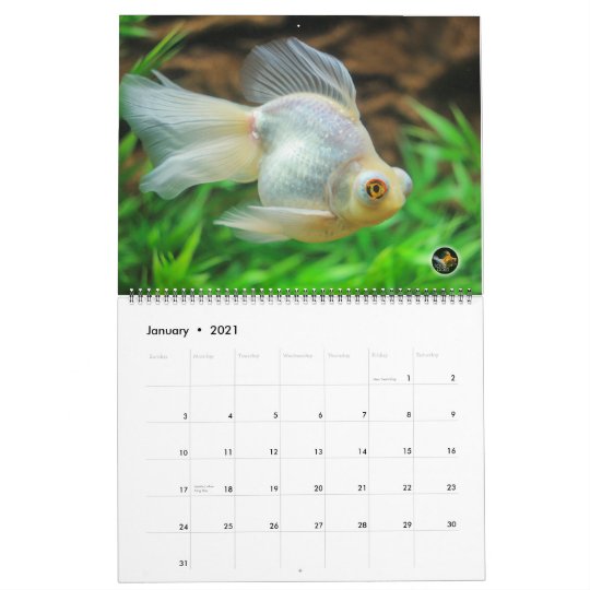 特大16年の純金の金魚のカレンダー カレンダー Zazzle Co Jp