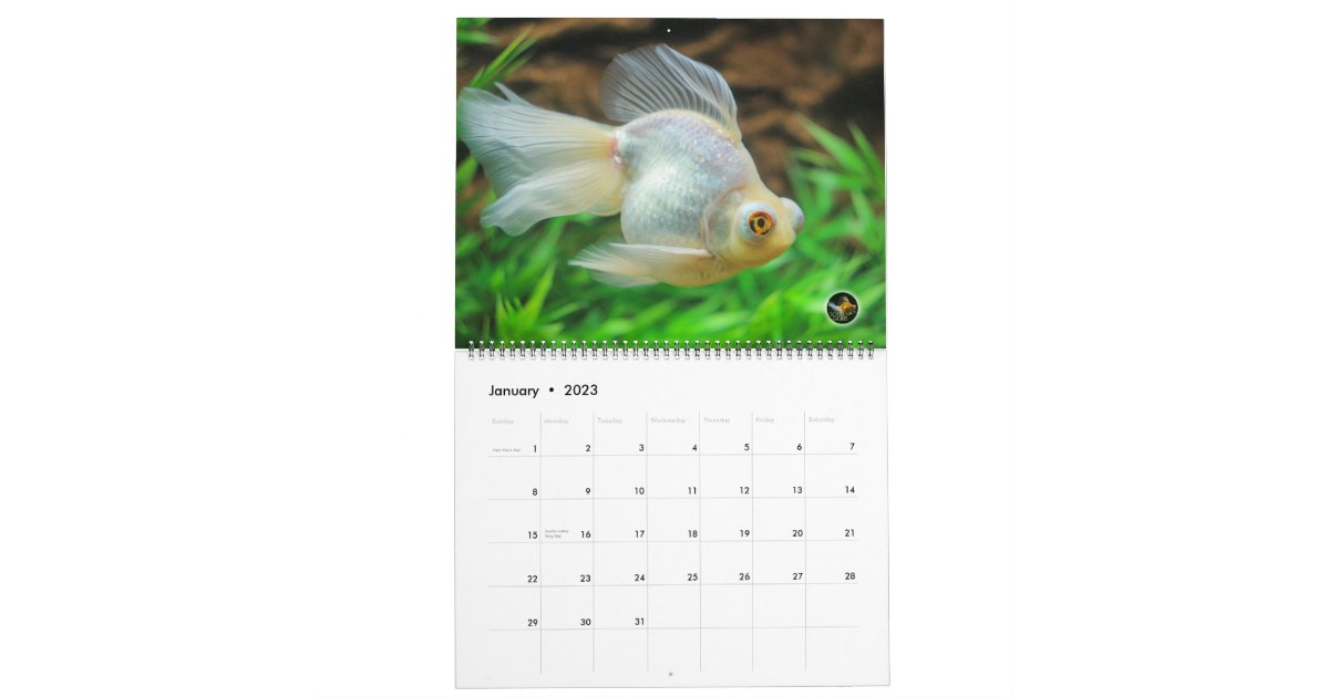 特大16年の純金の金魚のカレンダー カレンダー Zazzle Co Jp 特大16年の純金の金魚のカレンダー カレンダー Zazzle Co Jp