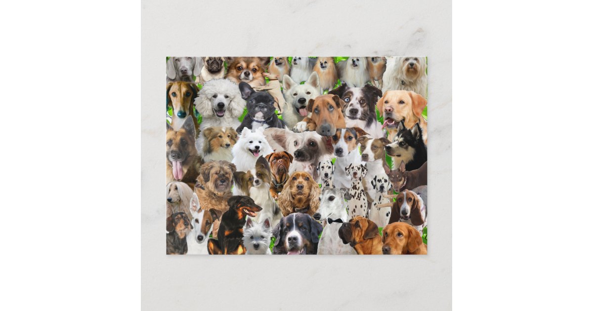 犬のコラージュ ポストカード Zazzle Co Jp