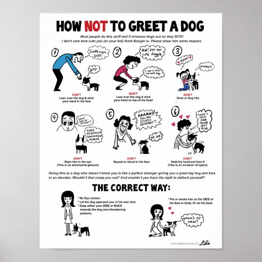 犬ポスター 11 X 14 に リリーのキーによって 挨拶する方法 ポスター Zazzle Co Jp