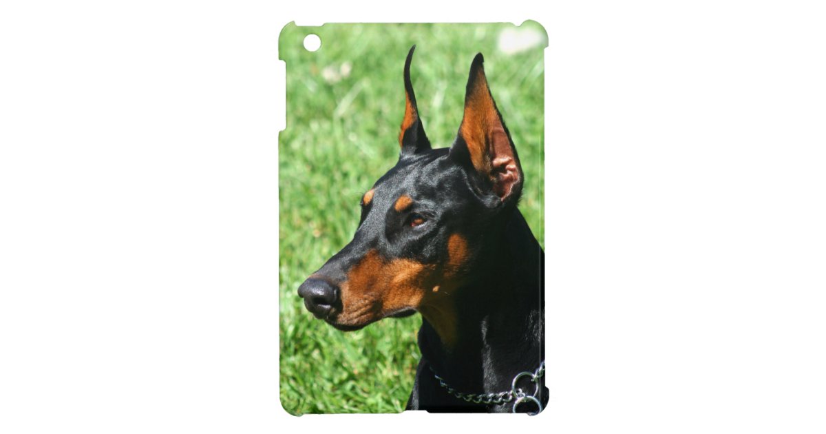 犬 ドーベルマン ピンシェル犬のipadの小型場合 Ipad Miniケース Zazzle Co Jp 犬 ドーベルマン ピンシェル犬のipadの小型場合 Ipad Miniケース Zazzle Co Jp