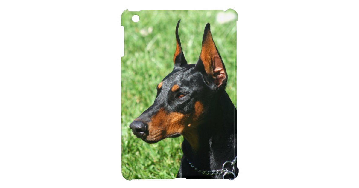 犬 ドーベルマン ピンシェル犬のipadの小型場合 Ipad Miniケース Zazzle Co Jp