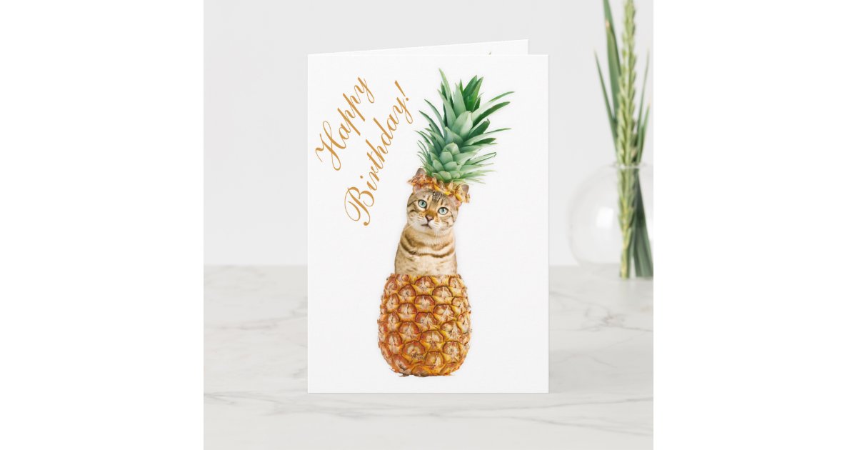 猫おもしろい誕生日カード パイナップルに入ったかわいい猫 カード Zazzle Co Jp