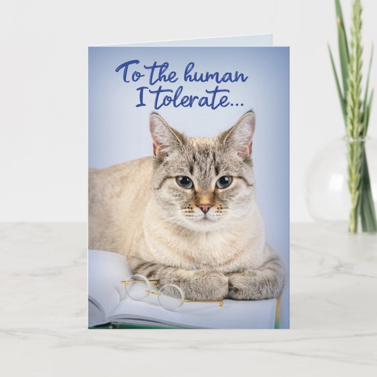 猫おもしろい 人間に許す誕生日 カード Zazzle Co Jp 猫おもしろい 人間に許す誕生日 カード Zazzle Co Jp