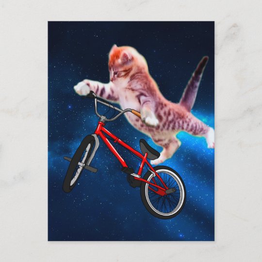猫のバイク 猫のフリースタイル おもしろいな猫 ポストカード Zazzle Co Jp