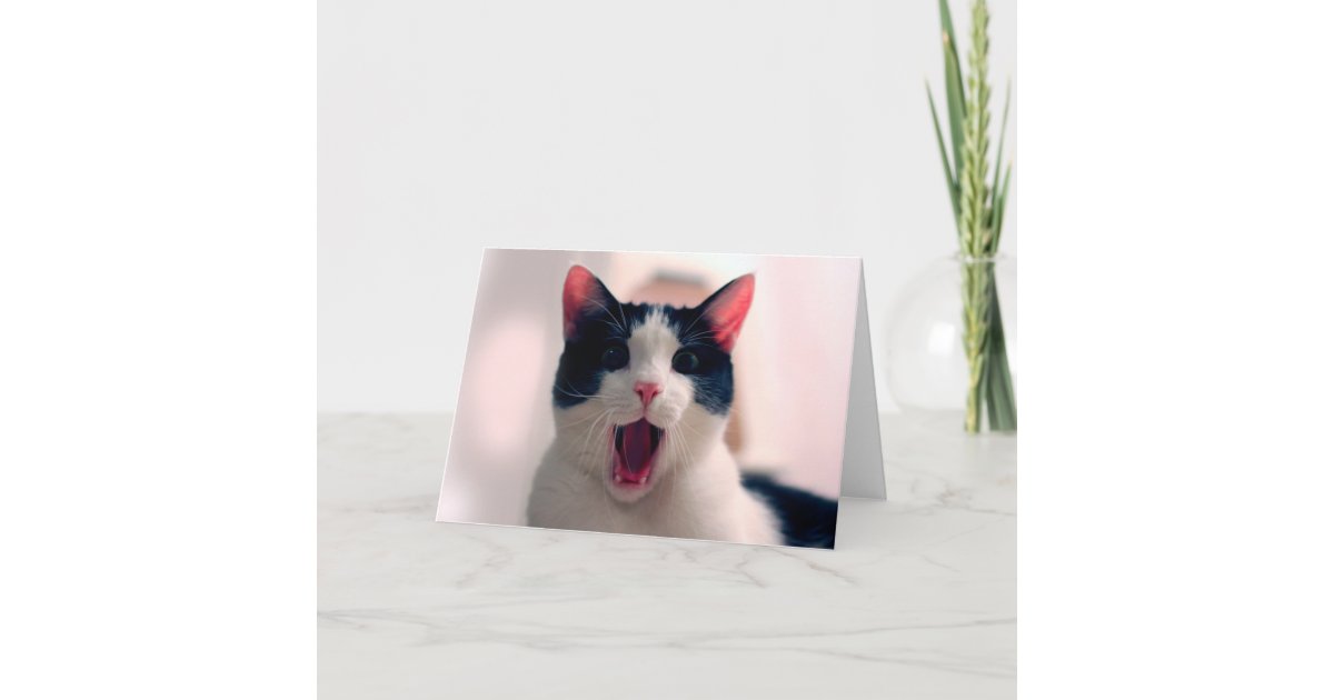 猫のミーム おもしろいな猫 おもしろいな猫のミーム ミーム猫 カード Zazzle Co Jp