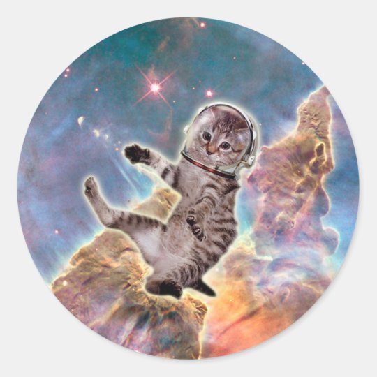 猫の宇宙飛行士 宇宙猫 おもしろいな猫 かわいい猫 ラウンドシール Zazzle Co Jp