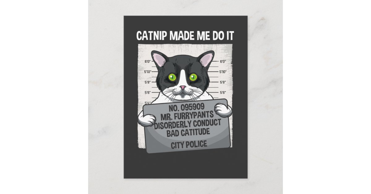 猫を飼わせたカトニッおもしろいプが警察を逮捕 ポストカード Zazzle Co Jp 猫を飼わせたカトニッおもしろいプが警察を逮捕 ポストカード Zazzle Co Jp