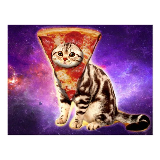 猫ピザ 猫の宇宙 猫のミーム ポストカード Zazzle Co Jp