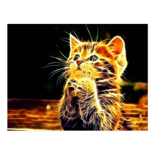 猫3dのアートワーク ポストカード Zazzle Co Jp
