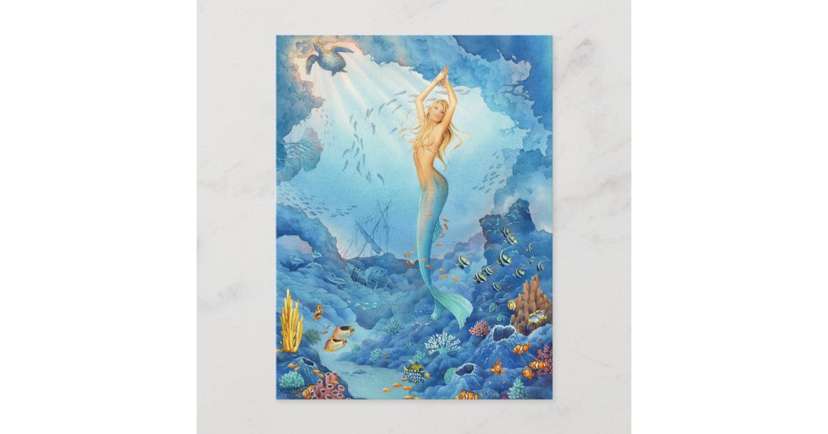 珊瑚 人魚 イルカ 魚および難破 ポストカード Zazzle Co Jp 珊瑚 人魚 イルカ 魚および難破 ポストカード Zazzle Co Jp