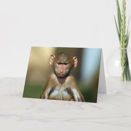 生意気な猿 かわいいベビーのヒヒカード カード Zazzle Co Jp