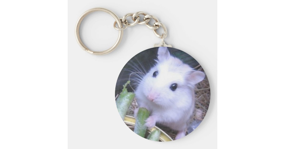 白いハムスター キーホルダー Zazzle Co Jp 白いハムスター キーホルダー Zazzle Co Jp