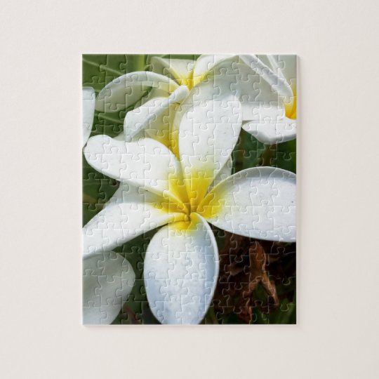 白いハワイのプルメリアの花 ジグソーパズル Zazzle Co Jp