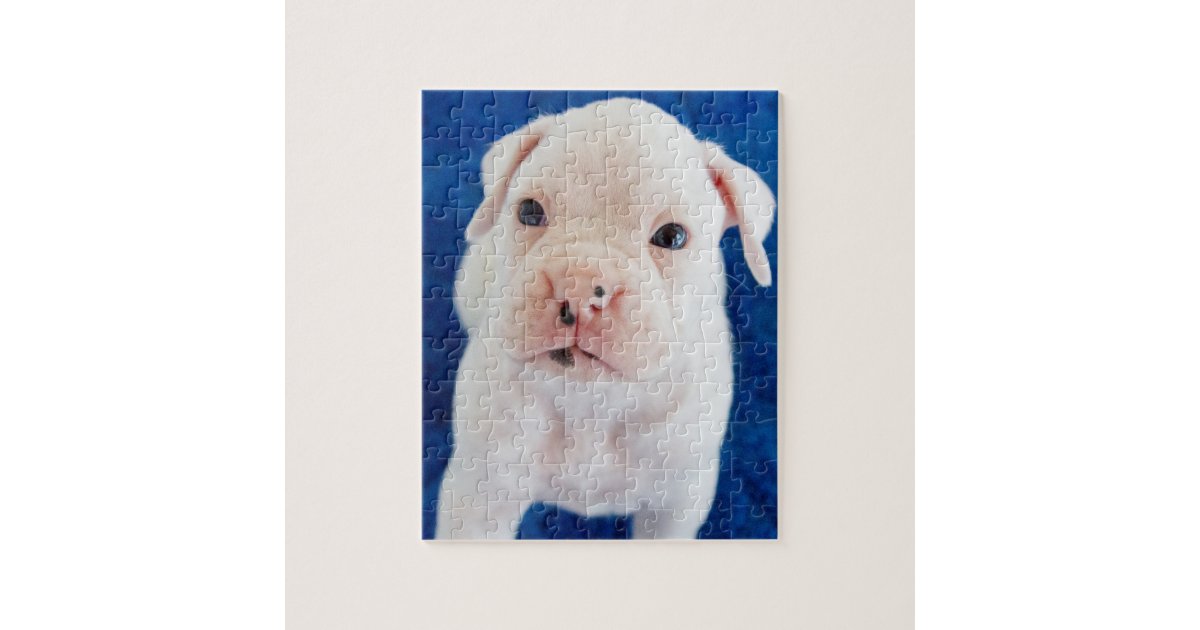 白いボクサーの子犬の困惑のボクサー犬のパズル ジグソーパズル Zazzle Co Jp 白いボクサーの子犬の困惑のボクサー犬のパズル ジグソーパズル Zazzle Co Jp