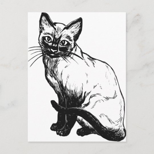 白黒と黒の美しい絵 シャム猫 ポストカード Zazzle Co Jp