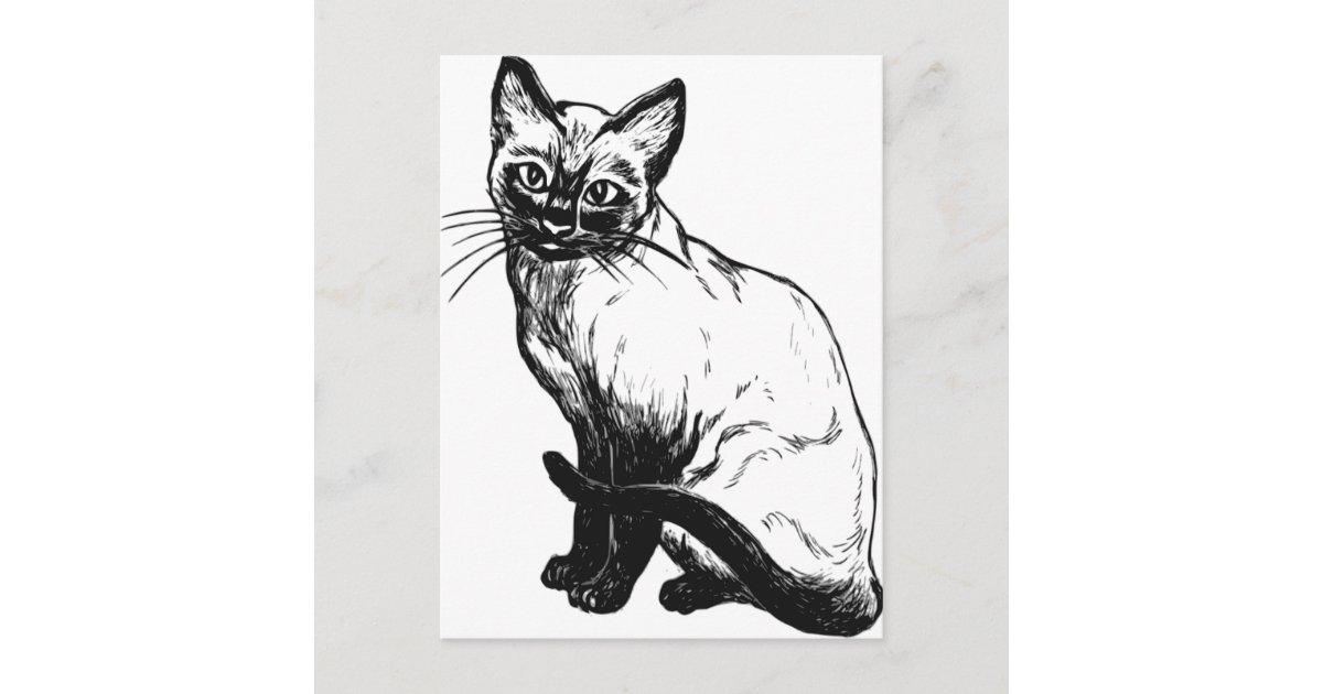 白黒と黒の美しい絵 シャム猫 ポストカード Zazzle Co Jp