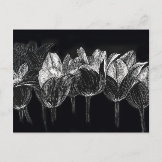 白黒のチューリップの庭の花のscratchboardの芸術 ポストカード Zazzle Co Jp