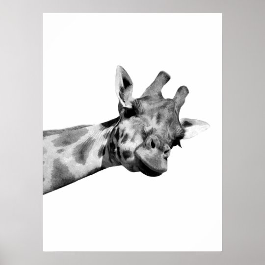 白黒キリン アフリカ動物のピーカボー写真 ポスター Zazzle Co Jp