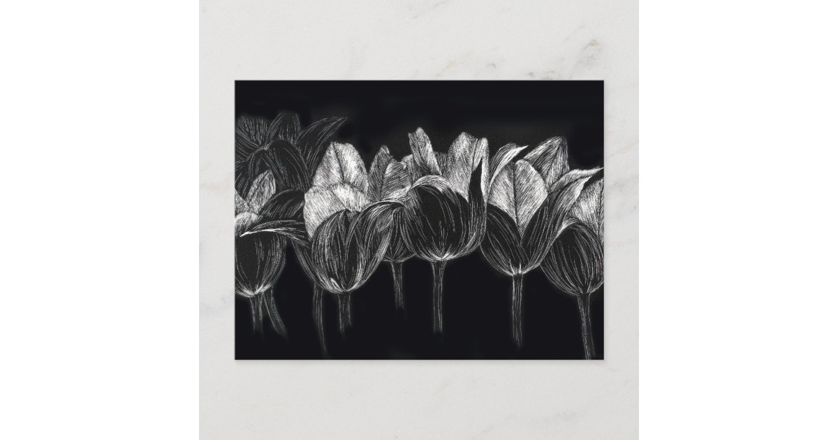 白黒チューリップガーデンフラワースクラッチボードアート ポストカード Zazzle Co Jp