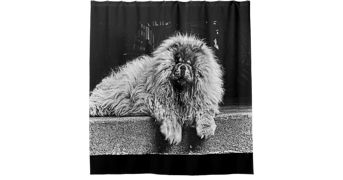白黒ポーチのチャウチャウ犬 シャワーカーテン Zazzle Co Jp
