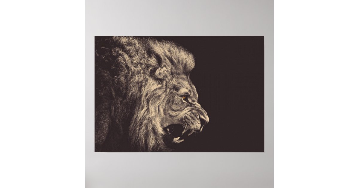 白黒ライオンの鉛筆の芸術のライオンのとどろき ポスター Zazzle Co Jp