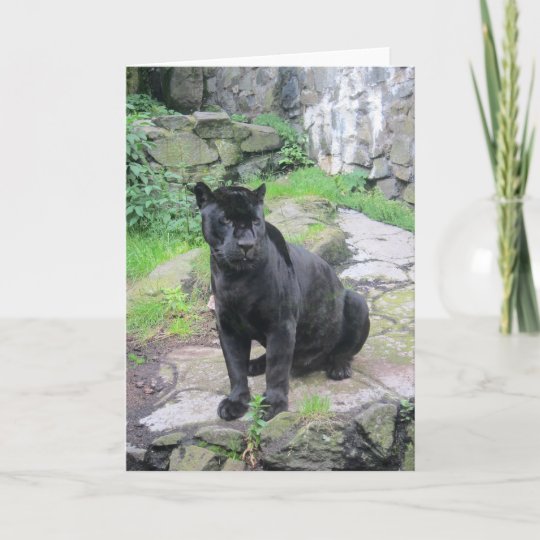 石の着席の大きく黒いジャガー猫 カード Zazzle Co Jp