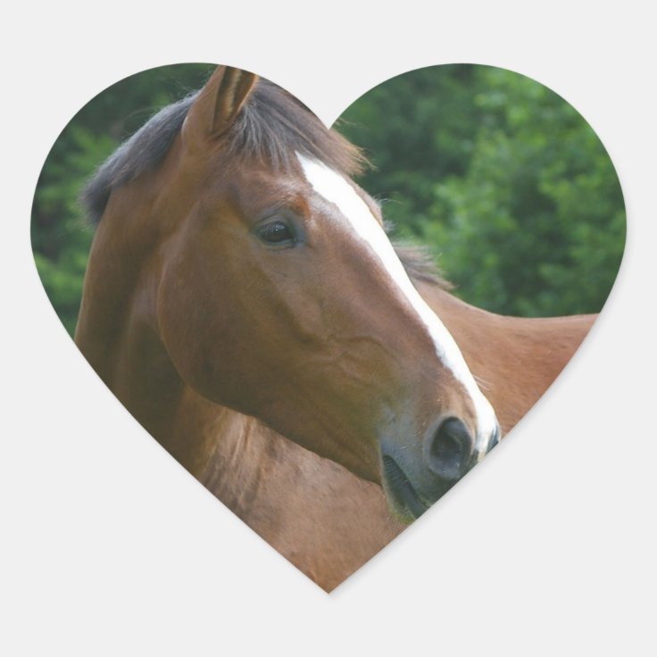 私はハートのステッカーの馬のステッカーの馬の顔を愛します ハートシール Zazzle Co Jp 私はハートのステッカーの馬のステッカーの馬の顔を愛します ハートシール Zazzle Co Jp