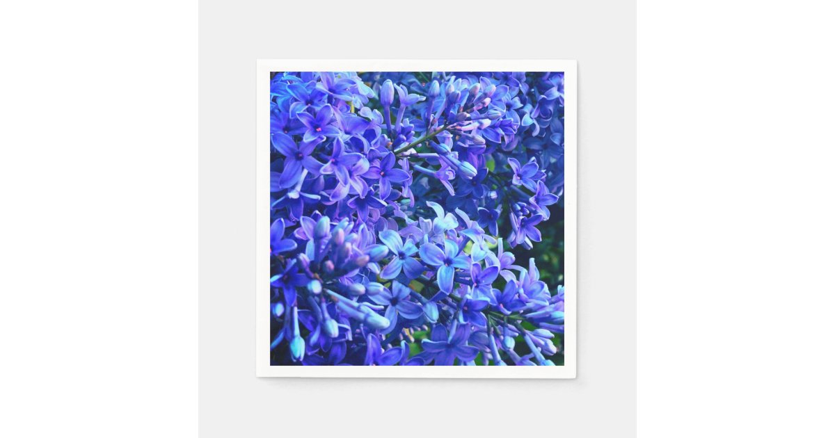 紫青ライラック紫のフローラ写真 スタンダードカクテルナプキン Zazzle Co Jp