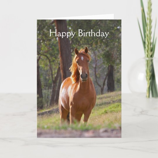 美しいクリの馬の写真のバースデー カード カード Zazzle Co Jp
