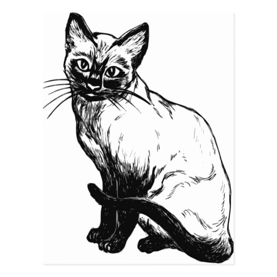 美しい白黒アートワーク シャム猫 ポストカード Zazzle Co Jp