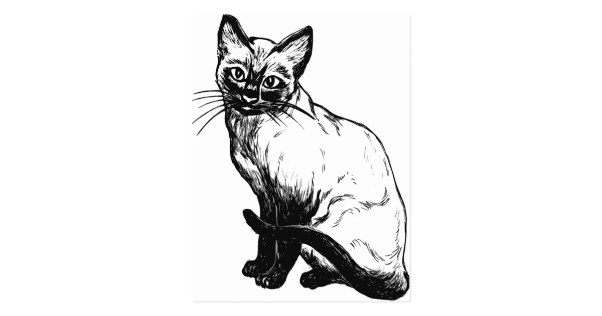 美しい白黒アートワーク シャム猫 ポストカード Zazzle Co Jp