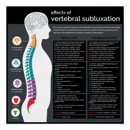 脊椎のsubluxationのカイロプラクティックの効果 ポスター Zazzle Co Jp