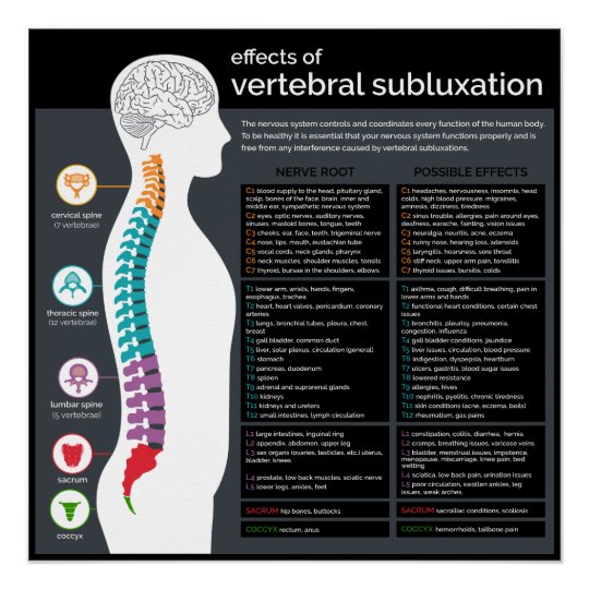 脊椎のsubluxationのカイロプラクティックの効果 ポスター Zazzle Co Jp 脊椎のsubluxationのカイロプラクティックの効果 ポスター Zazzle Co Jp
