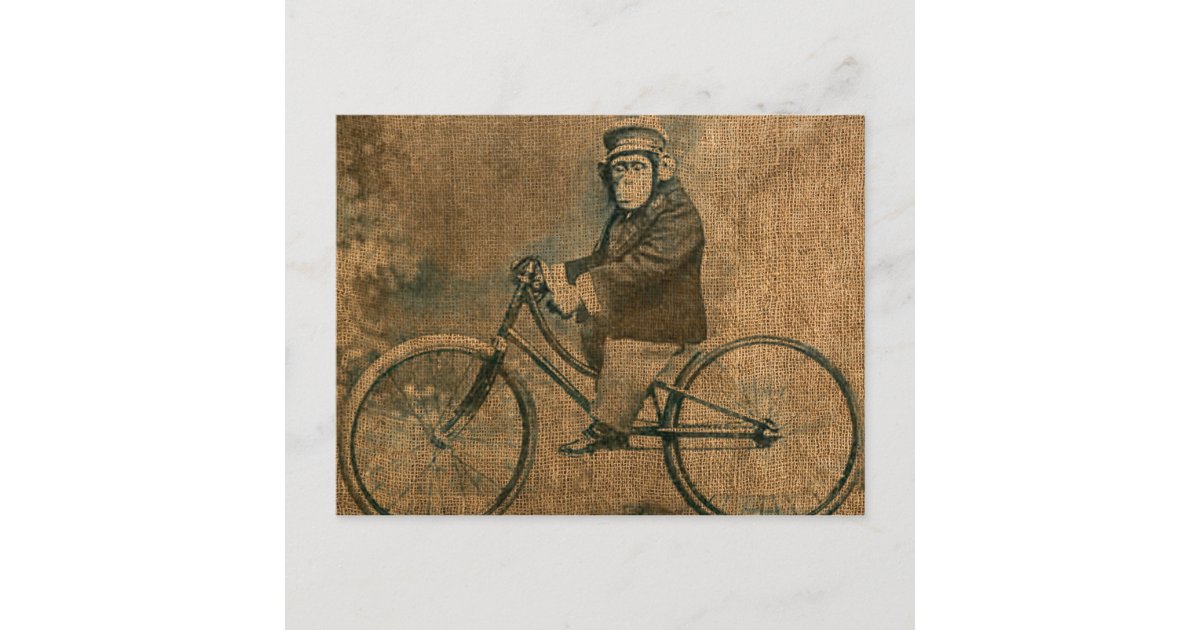 自転車に乗っているヴィンテージのチンパンジー ポストカード Zazzle Co Jp 自転車に乗っているヴィンテージのチンパンジー ポストカード Zazzle Co Jp