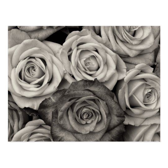 花のかわいらしい白黒バラの花束 ポストカード Zazzle Co Jp