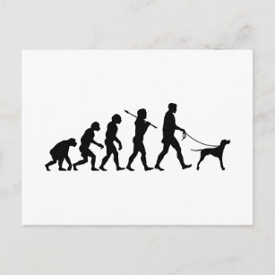 犬 シルエットポストカード Zazzle Co Jp