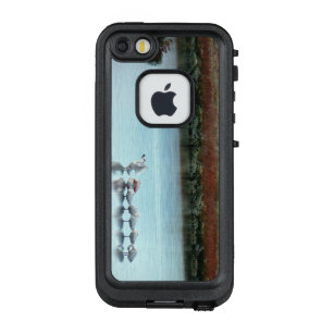 パタゴニアiphone 5 5s ケース Zazzle Co Jp