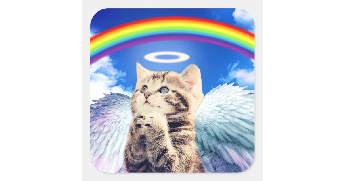 虹猫 猫の祈ること 猫 かわいい猫 スクエアシール Zazzle Co Jp