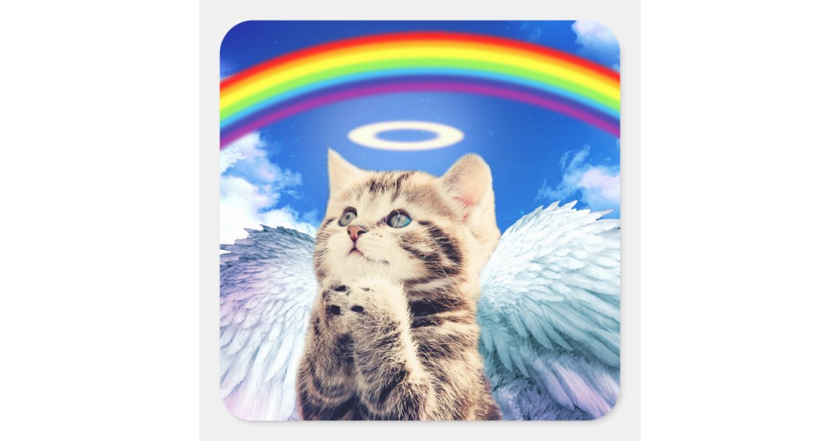 虹猫 猫の祈ること 猫 かわいい猫 スクエアシール Zazzle Co Jp 虹猫 猫の祈ること 猫 かわいい猫 スクエアシール Zazzle Co Jp