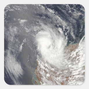 西部 オーストラリアシール Zazzle Co Jp