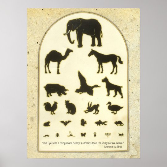 視力検査表の のレオナルド ダ ヴィンチの動物の引用文 ポスター Zazzle Co Jp