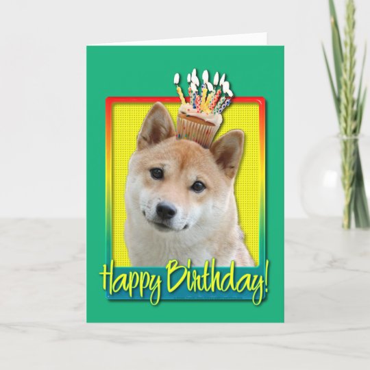誕生日のカップケーキ 柴犬 カード Zazzle Co Jp