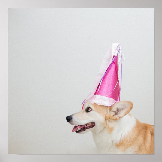 誕生日のペンブロークのウェルシュコーギー犬 ポスター Zazzle Co Jp