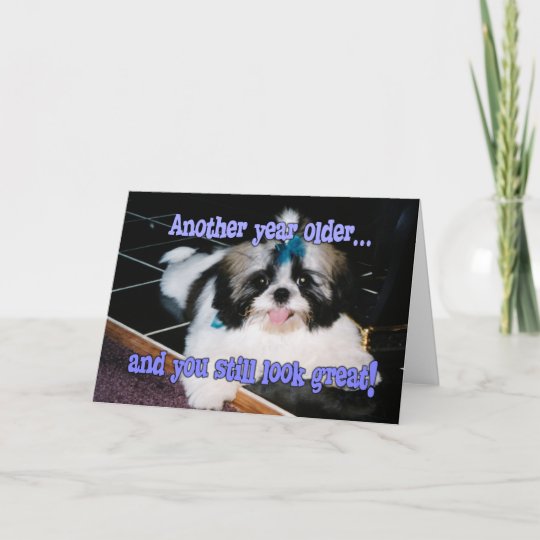 誕生日のユーモア かわいいシーズー 犬 Tzuの子犬 カード Zazzle Co Jp